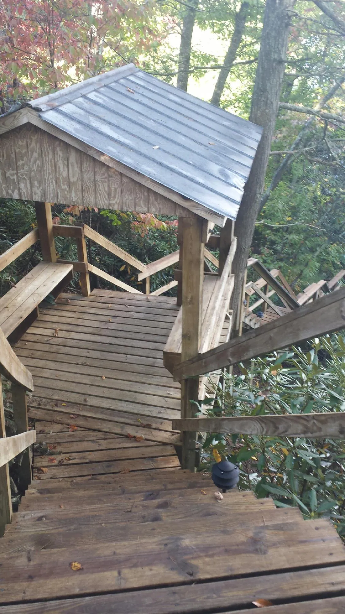 Metal roofed shelter over wooden steps on a wooded walkway — Skylight Repair & Installation work by our crew in Selmer